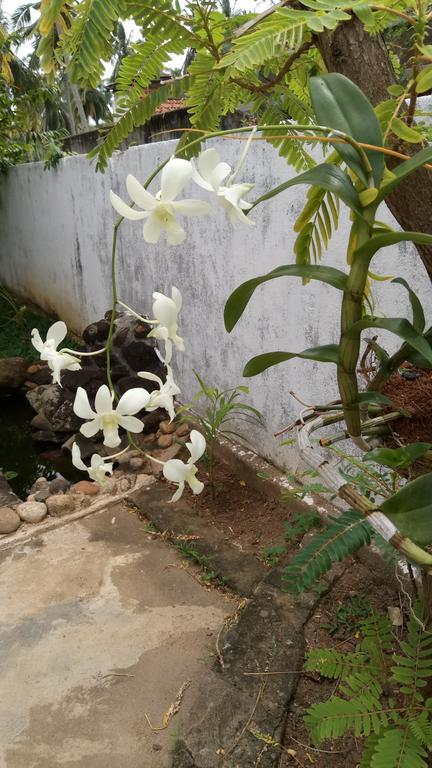 Leisure In Galle Luaran gambar